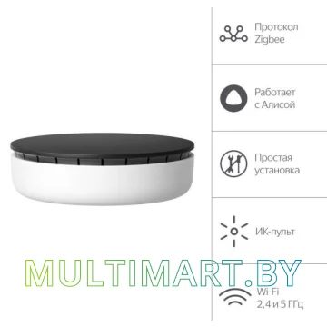 Центр управления (хаб) Яндекс YNDX-00510 картинка 3